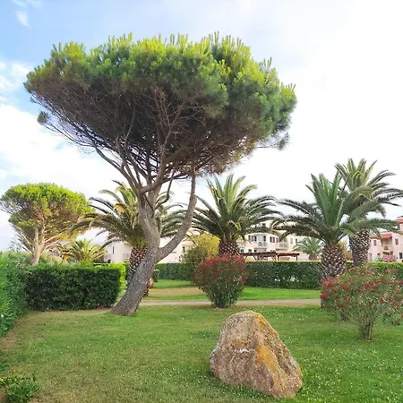 Front De Mer, Acces Direct A La Plage - T2 - Capitelles 4 Saint-Cyprien  Exterior foto